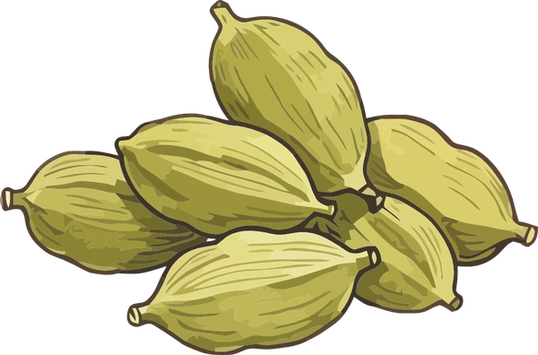 Cardamom