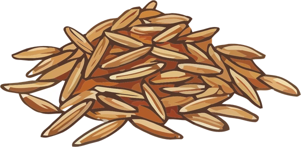Cumin